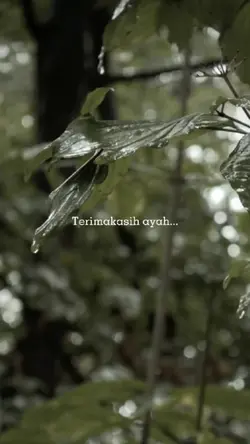Terimakasih ayah