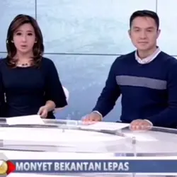 ganti foto/video tmn