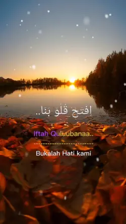 sholawat viral