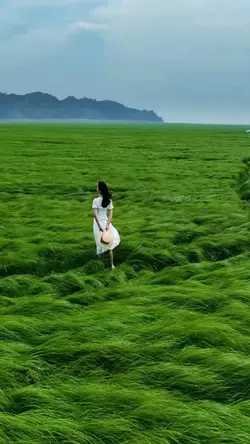 Wind