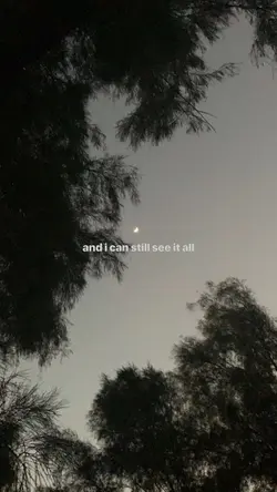 daylight