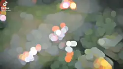 ml highlights 