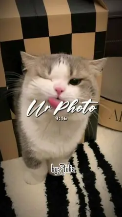 Mendem mletre asek