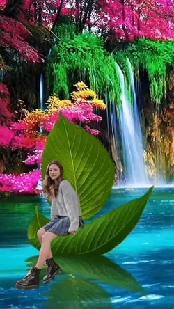 boat leaf scenery