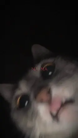 mẫu 2 ảnh xịn 