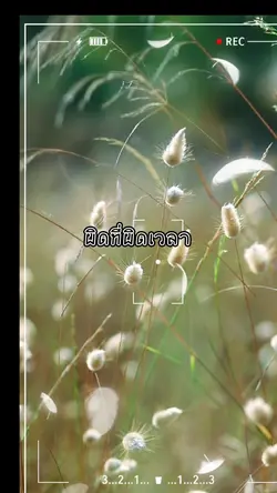 น้องบ่แม่นเขา