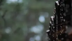 Rain sound