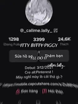 Itty Bitty Piggy x 