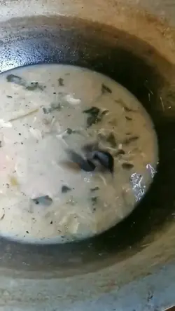 pertarungan tikus