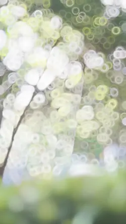 Slowmo 3 Video