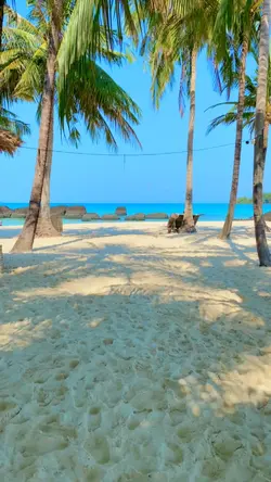 Beach Vibes 