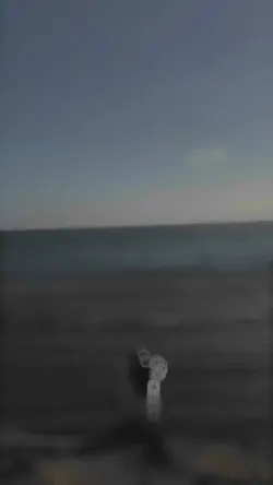 video 15 detik 