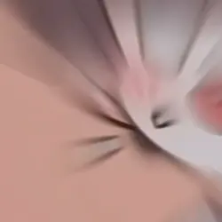តោះអ្នកមើល