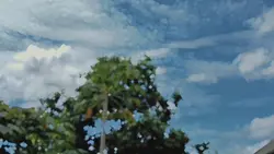 video keyframe