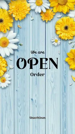 Promosiku Open