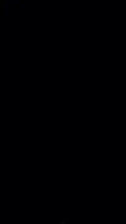 capcut 