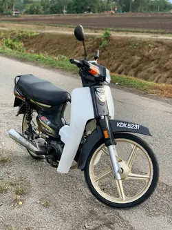 kapok ulat lidi