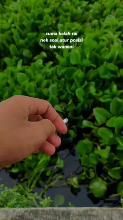 mengandung 69