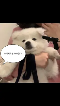말풍선💭2