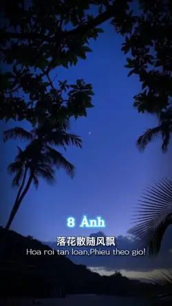 [8]ảnh