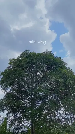 Mini Vlog 