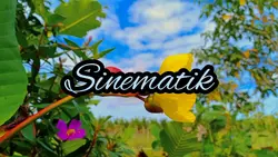 sinematik tanaman