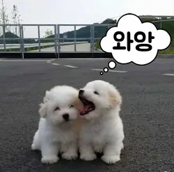말풍선