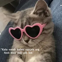 Sp husbu kiko? Sy