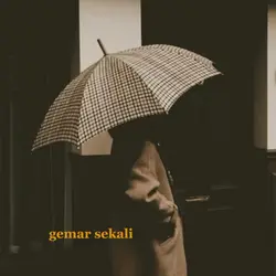 ver 1:1 gemar skli