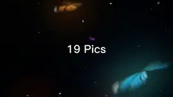 19 Pics 16:9