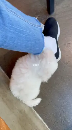 2021.2022
