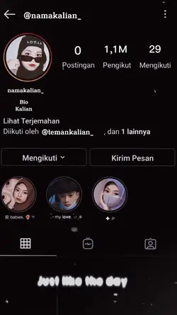 Prank Fllowers Ig