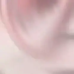 사진술링키