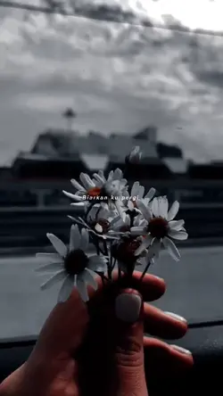 Lagu Viral Tiktok 
