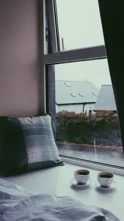 Sunroof song