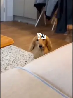 THAY TÊN