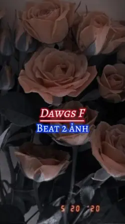 Dawgs F