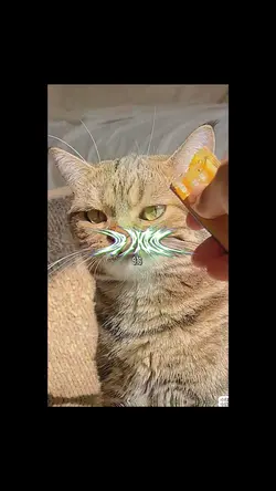 I can’t lose 