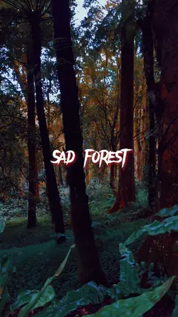 Vlog hutan
