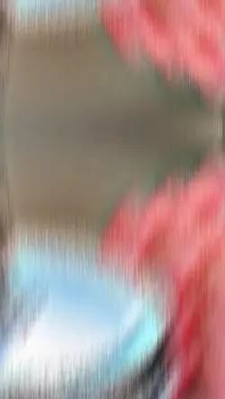 capcut