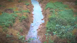 1 video phong cảnh