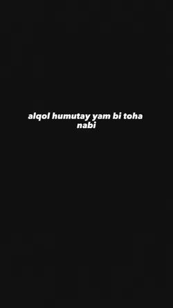 setory wa 