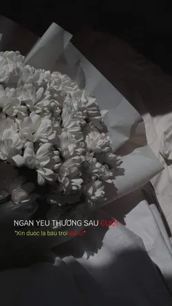Beat[3] Hoa cỏ lau