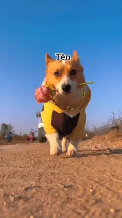 THAY TÊN