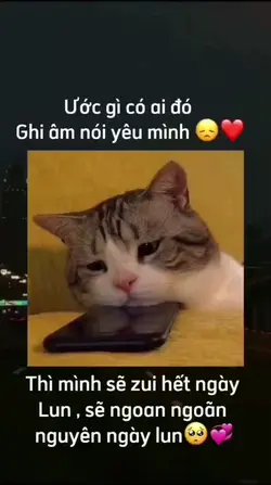 Một chút hoi
