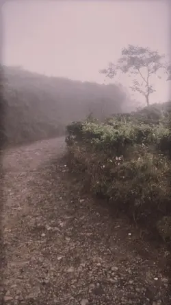 Vibes Negeri dongeng
