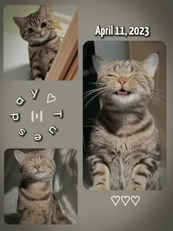 fb story 