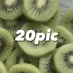 20pic