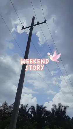 WEEKEND STORY 