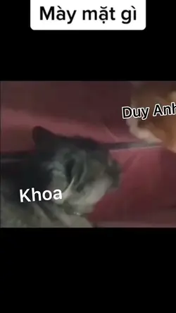 Mẫu thay tên